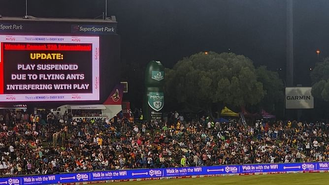 [Watch] Flying ants halt play in IND vs SA 2024 3rd T20I in Centurion