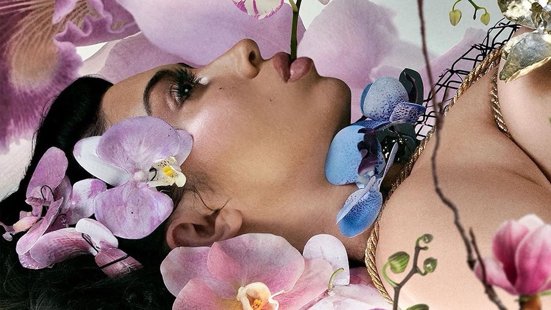 The official cover art for Kali Uchis&#039;s Grammy-nominated album &#039;ORQU&Iacute;DEAS&#039; (Image via X/@beyonce)