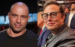 Joe Rogan reacts to Elon Musk hinting at buying MSNBC from $166.34 billion-worth Comcast with one request: "I will wear the same outfit and glasses"