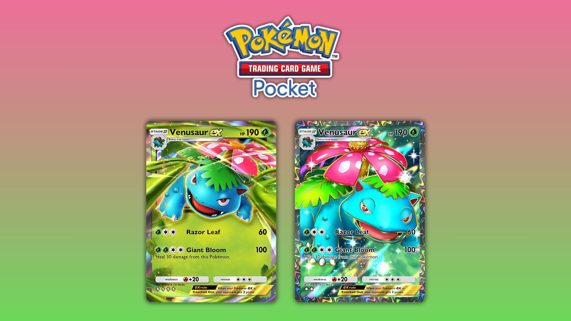 Pokemon TCG Pocket: Best Venusaur ex deck guide