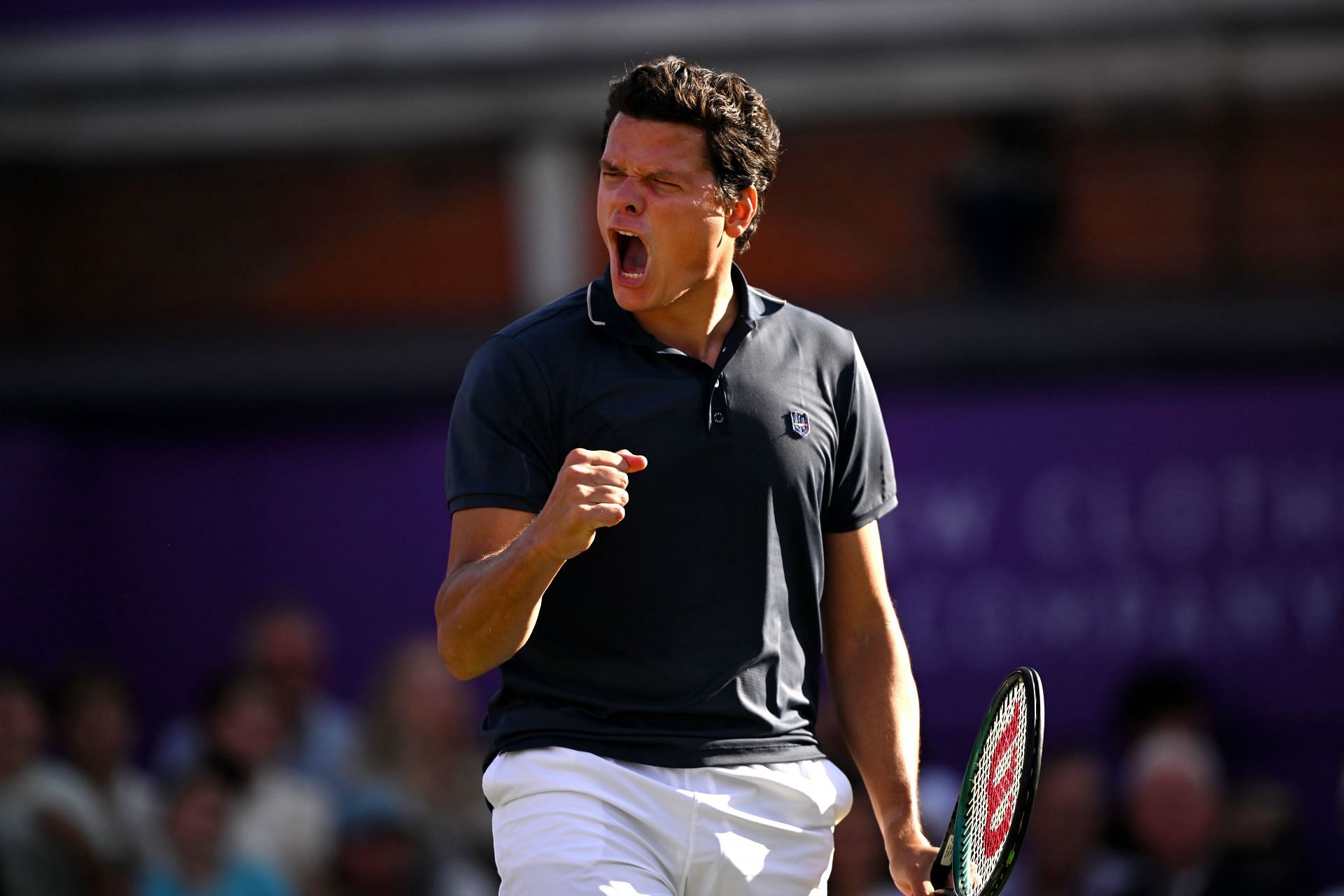 Milos Raonic Net Worth