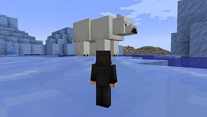 Hilarious Minecraft mod lets you shrink down your character