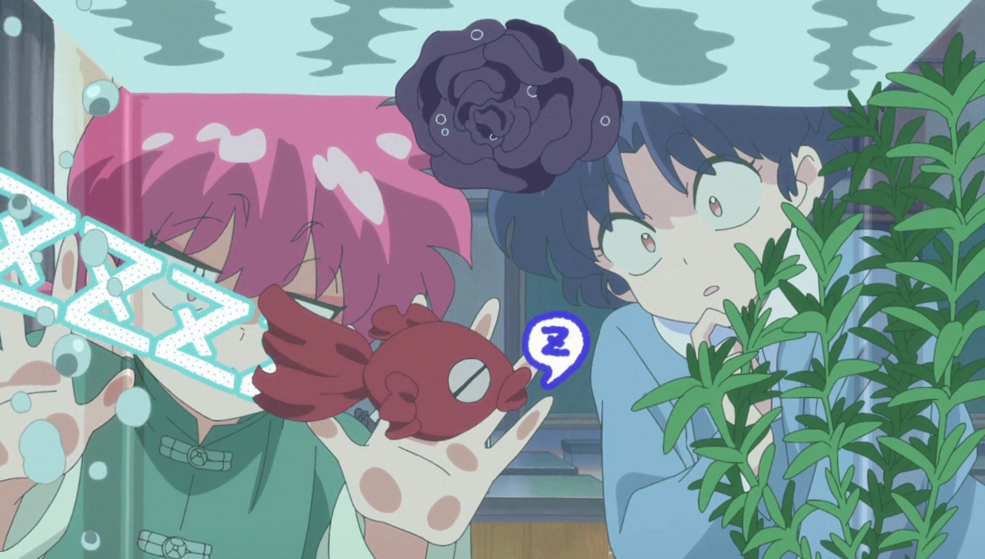 Female Ranma and Akane watching another of Kodachi&#039;s traps (Image via MAPPA).