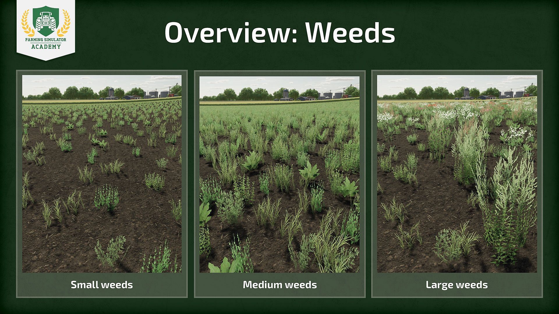 Weeds in Farming Simulator 25 (Image via Giants Software)