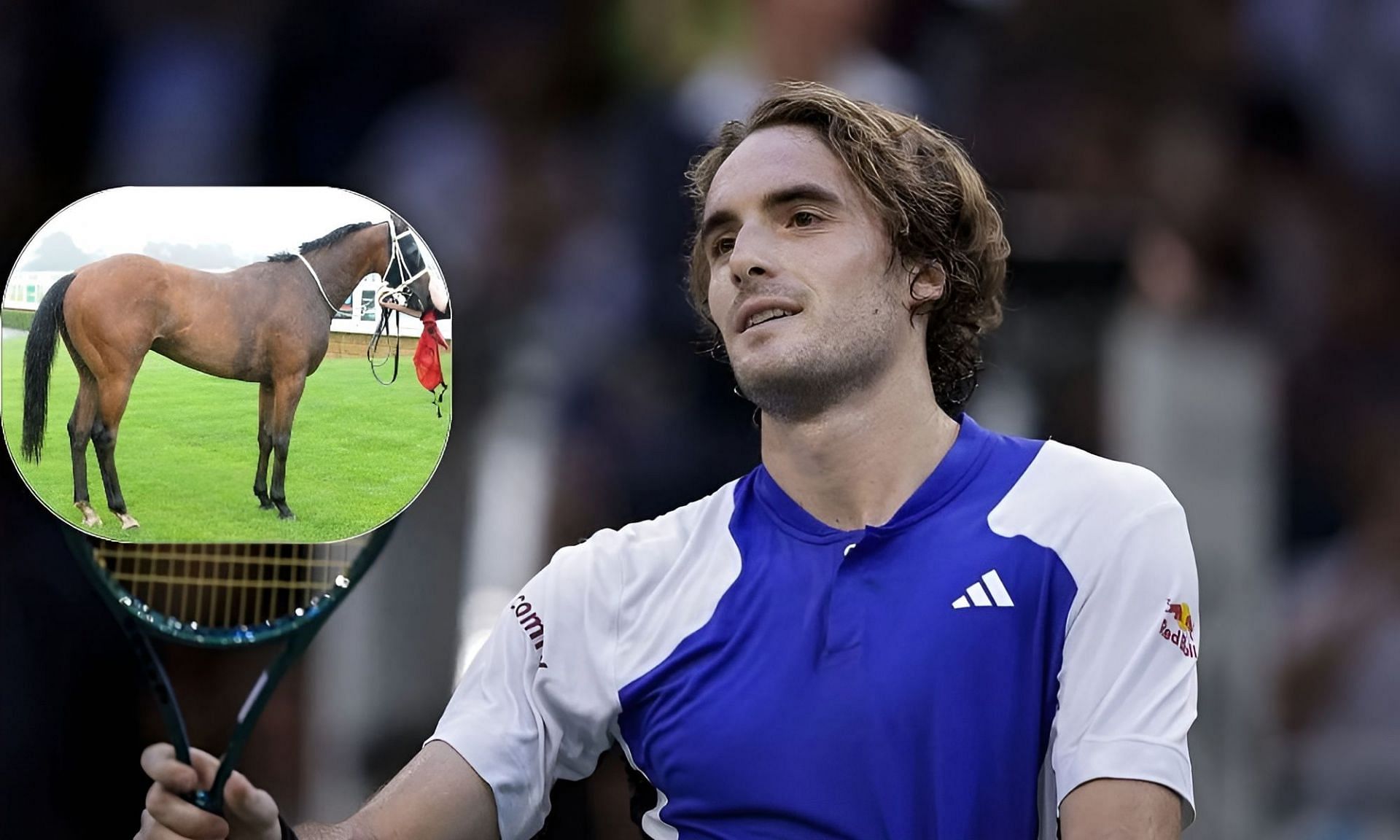 Stefanos Tsitsipas surprised by namesake horse (Image: All via Getty)