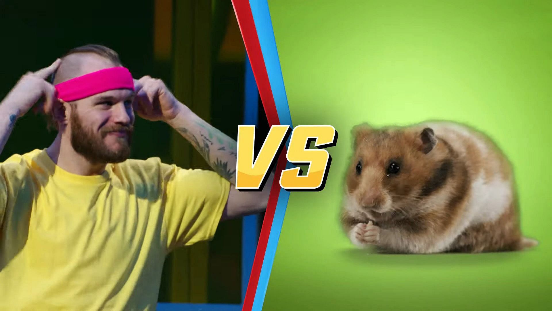 Human vs Hamster 