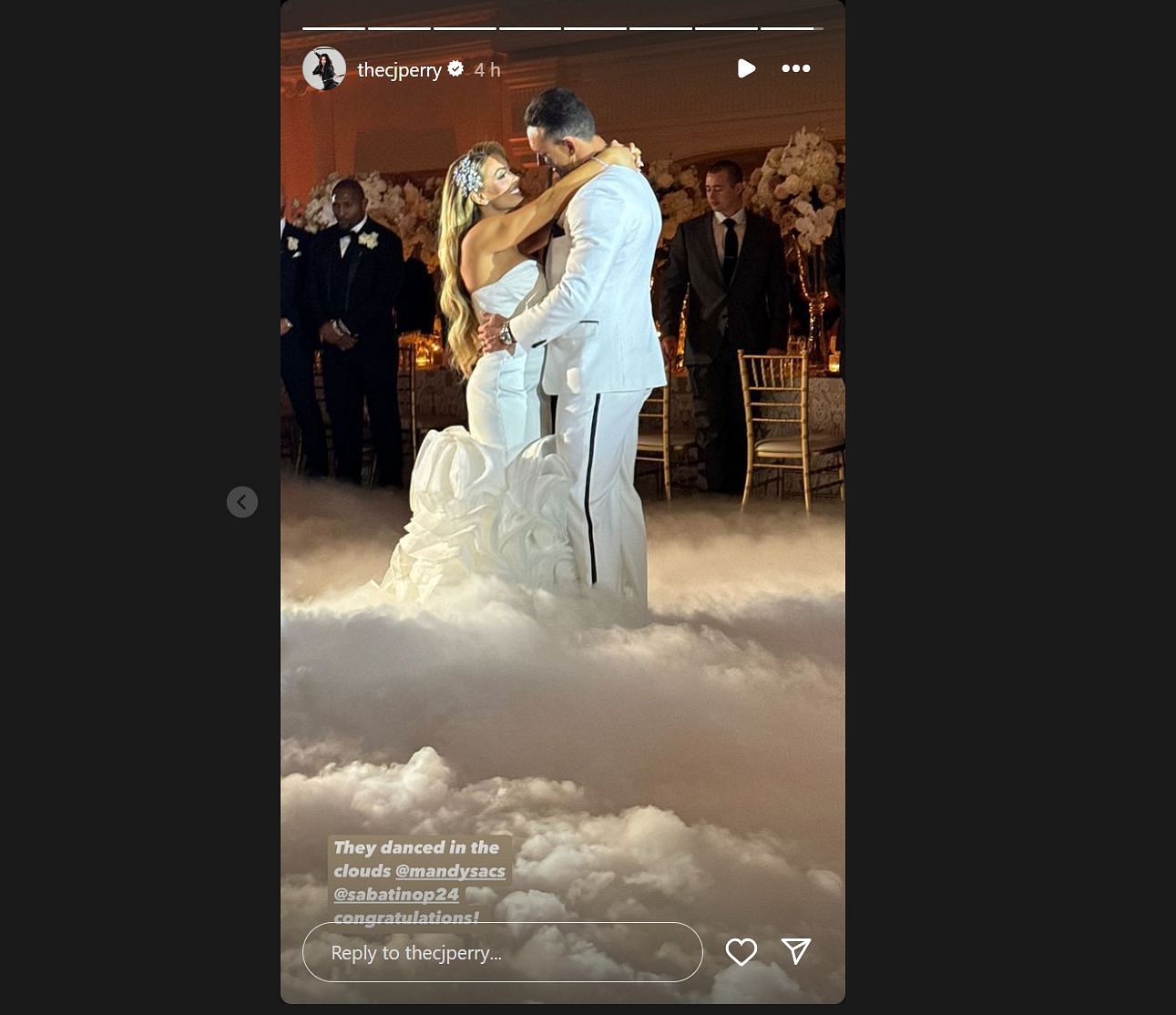 Screengrab of Lana&#039;s Instagram story [Source: @thecjperry on Instagram]