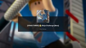 Ninja Challenge Stage 3 guide