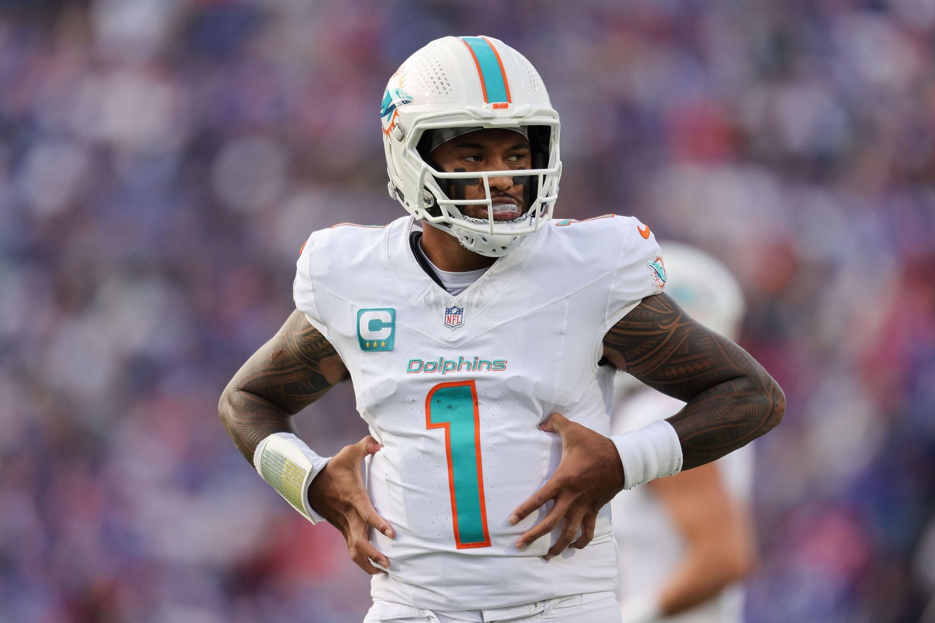 Miami Dolphins v Buffalo Bills - Source: Getty