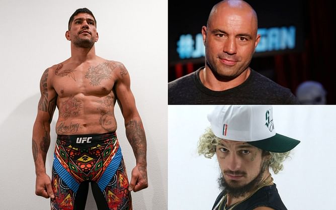 "He's fighting elite professionals" - When Joe Rogan and Sean O'Malley debated whether Alex Pereira is the greatest combat sports athlete of all time