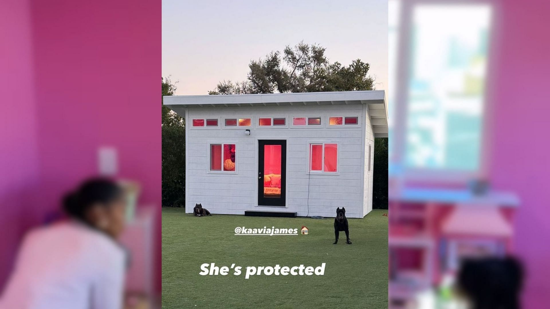 Dogs appear to guard the outside of Kaavia's playroom (Wade's Instagram)