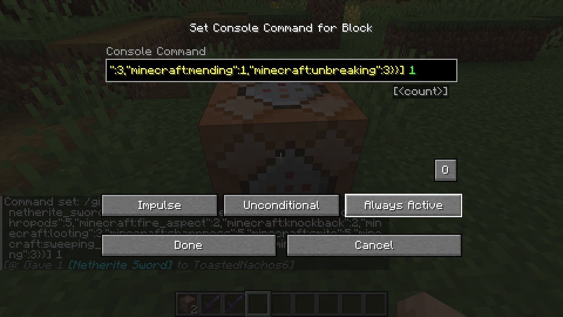 Enter the command with all of the settings displayed above (Image via Mojang Studios)