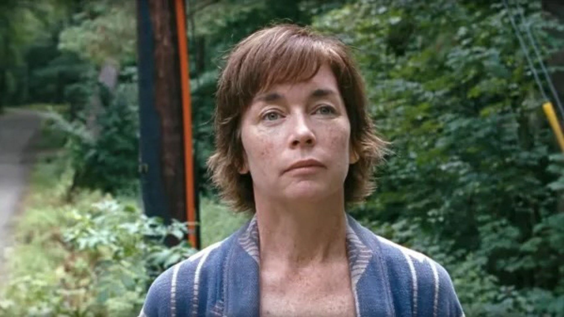 Julianne Nicholson as seen in Janet Planet (Image via Instagram/@juliannenicholsonofficial)