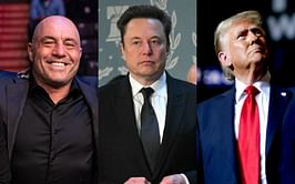 Elon Musk gives one-word reaction to Joe Rogan earning gratitude of 'hippy' artists who allegedly can't support Donald Trump publicly