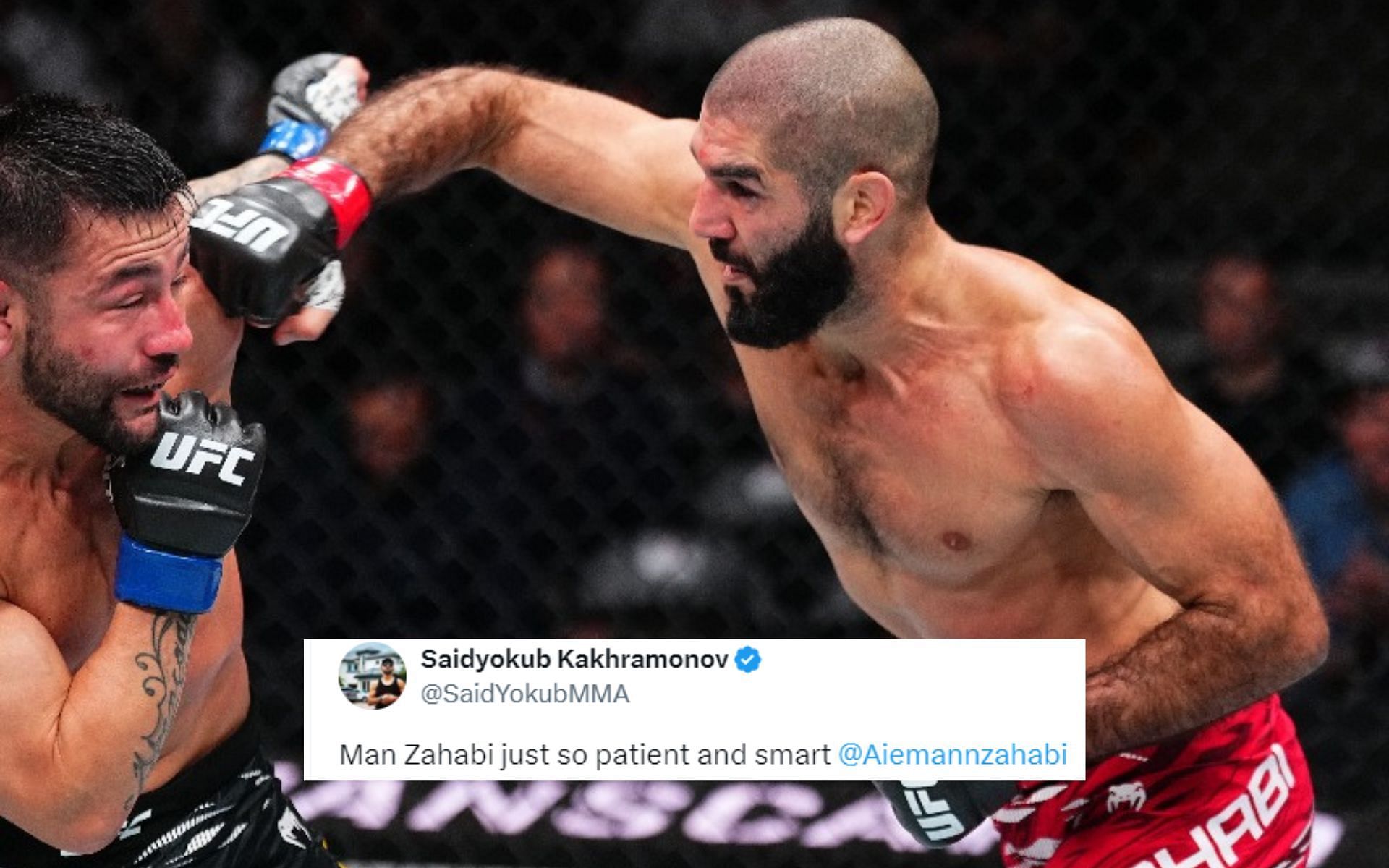 MMA figures react to Aiemann Zahabi