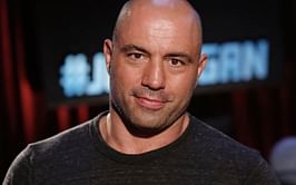 "Pro-athletes are DM'ing them" - When Joe Rogan shared brutal take on failing marriage rates in America