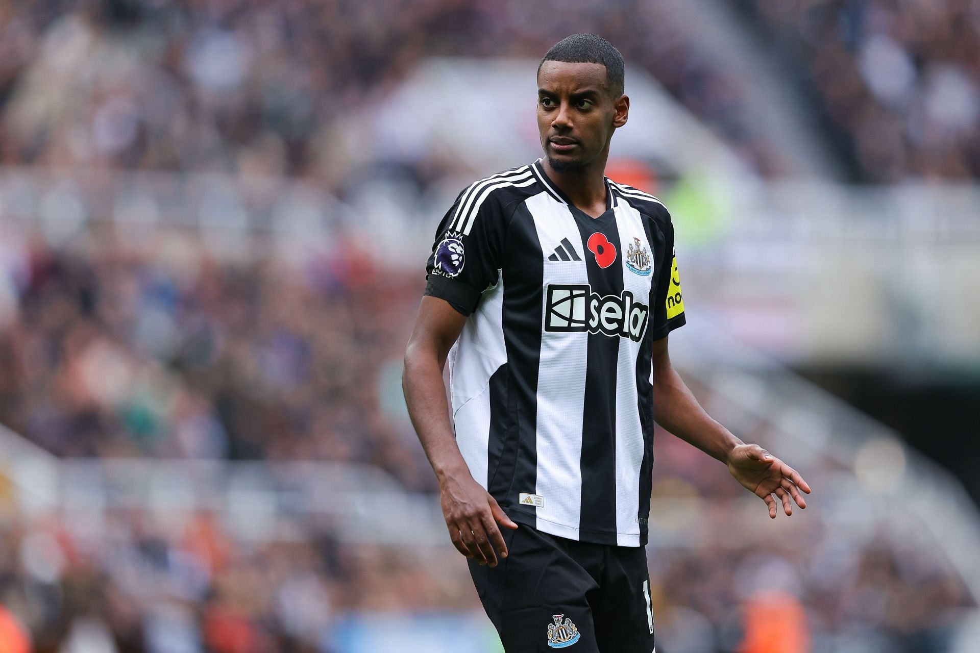 Newcastle United FC v Arsenal FC - Premier League - Source: Getty