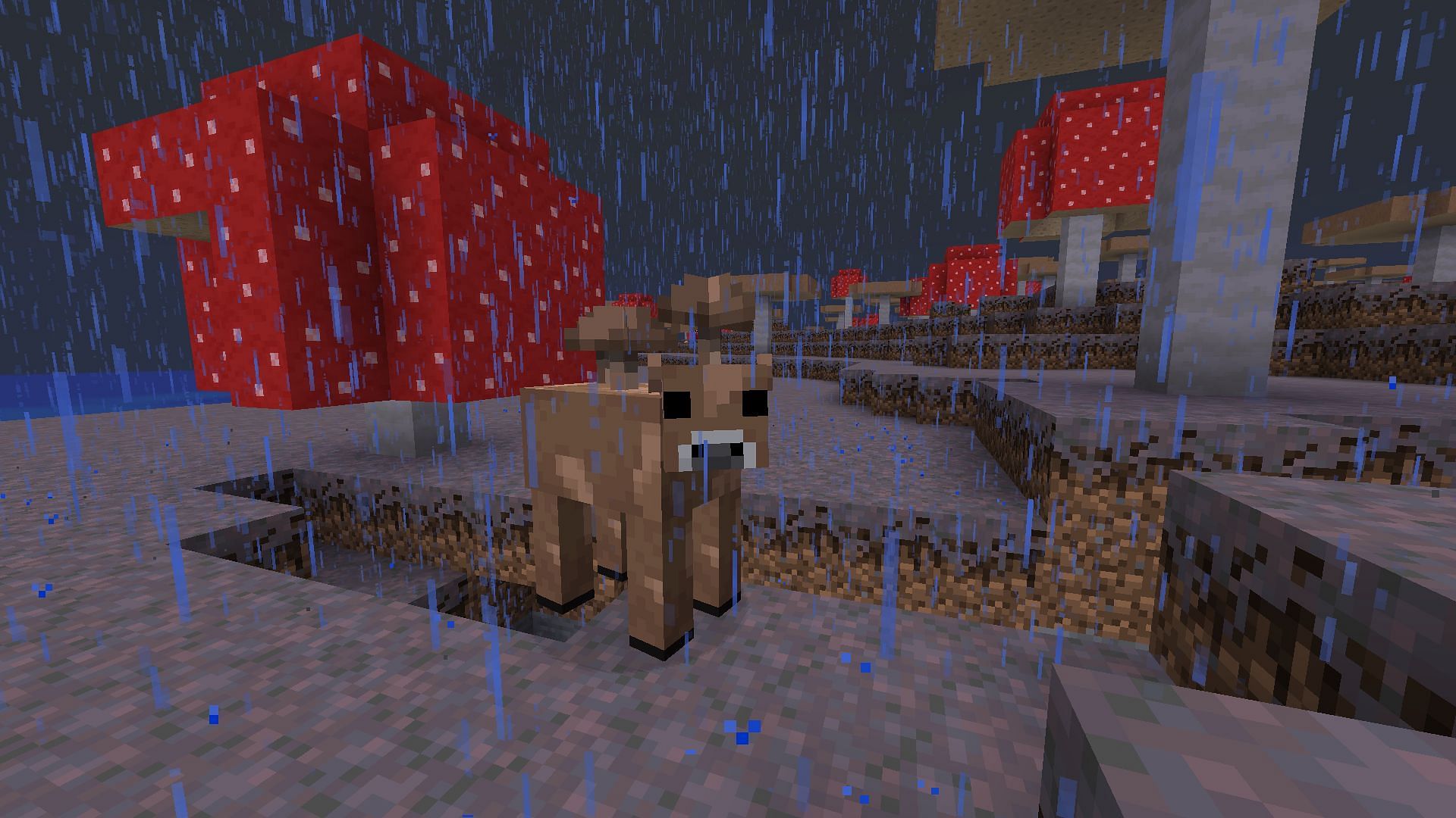 The Brown Mooshroom is a rare variant of regular Red Mooshrooms (Image via Mojang Studios)