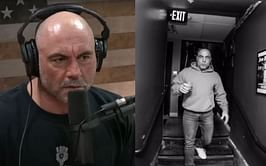 Joe Rogan looks back at "completely ridiculous and unethical" 'Rodent Fight Club' study: "I would love to see the data"