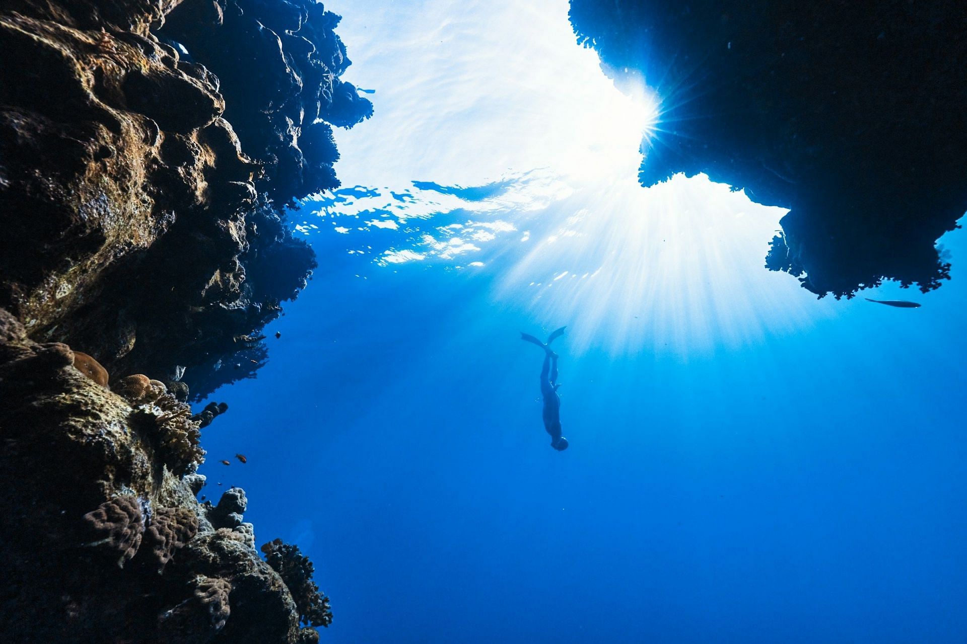 Laura was not familiar with swimming (Image by Neom/Unsplash)