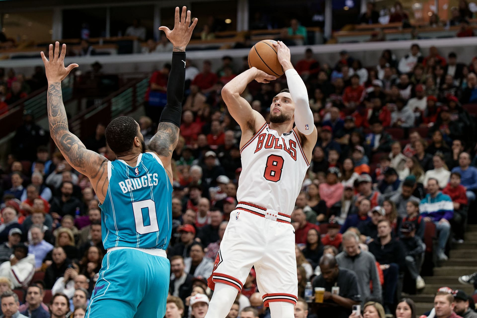 Zach LaVine in action against Charlotte Hornets (Credits: Getty)