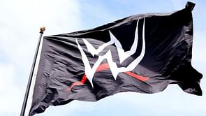 WWE legend reveals potential retirement plans to end 30-year wrestling career