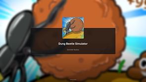 Dung Beetle Simulator Codes (December 2024)