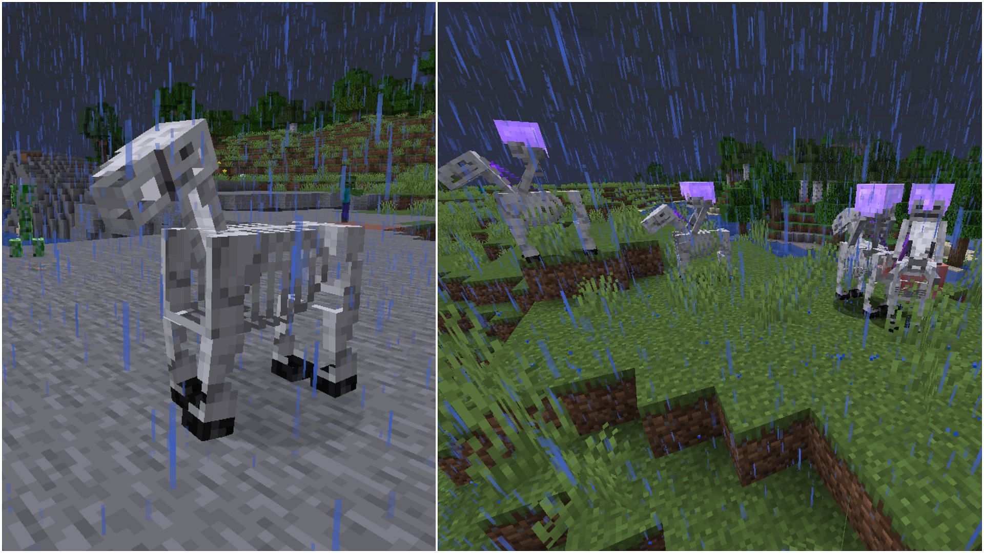 Skeleton Trap is a rare but dangerous magical occurrence in Minecraft (Image via Mojang Studios || Minecraft Wiki)