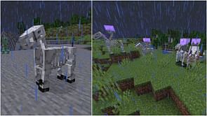 What is Minecraft skeleton horse trap?