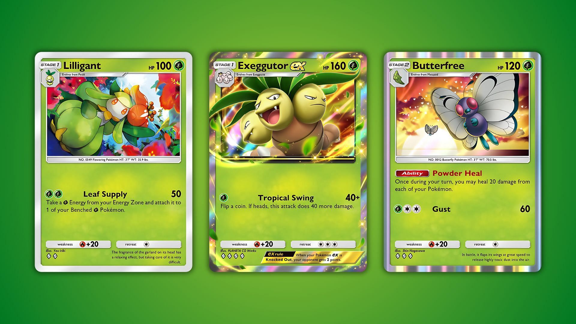 Cards that support Venusaur ex the best (Image via The Pokemon Company)