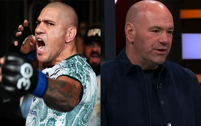 Photos: UFC vet shares snaps of gingerbread man cookies prepared in likeness of Dana White, Alex Pereira and others