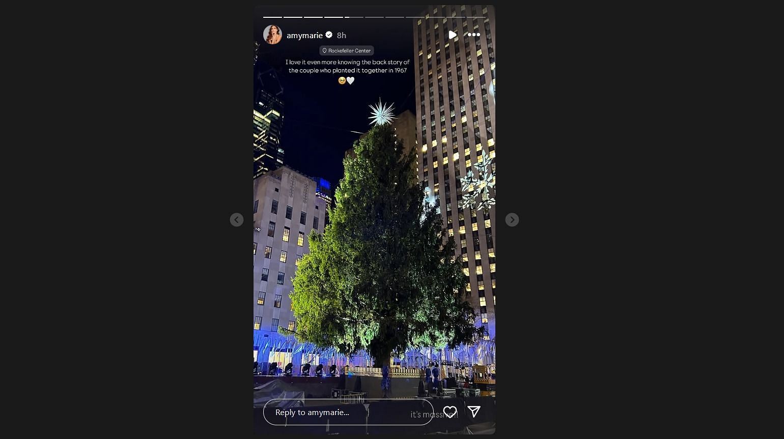 Amymarie Gartner shares a photo of the Rockefeller Center&#039;s Christmas tree | Image via Instagram story/@amymarie