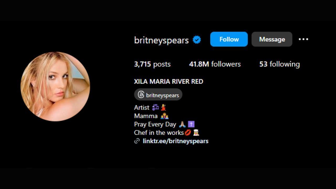 Britney Spears has over 41 million Instagram followers. (Image via Instagram/@britneyspears)