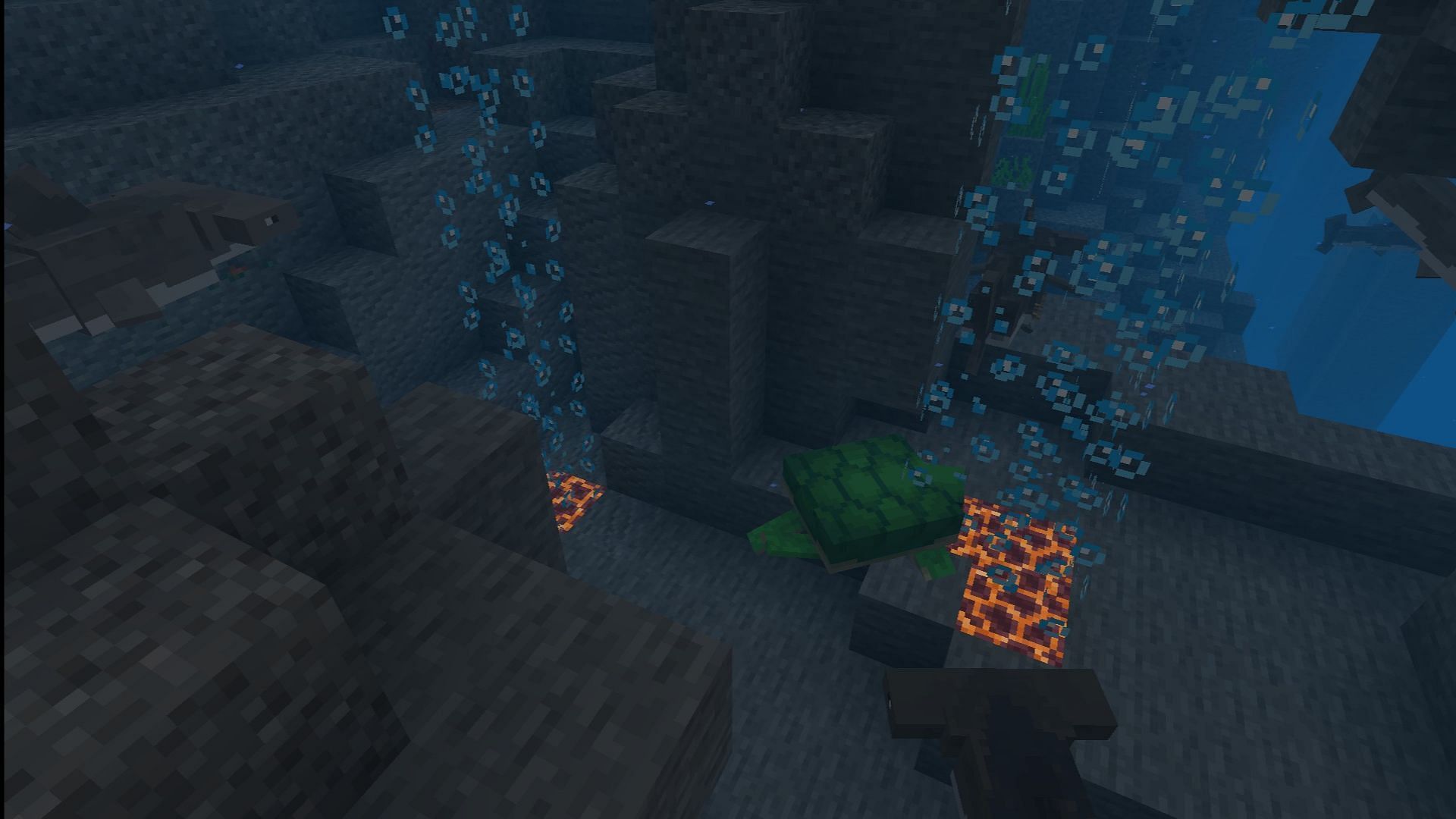 Sharks could be one of the additions (Image via Mojang Studios || MNO)