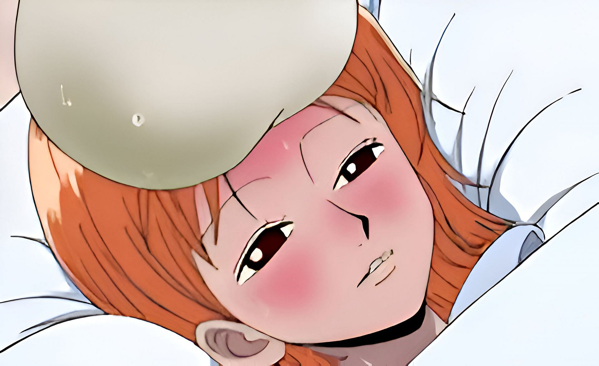 Nami as seen in the anime (Image via Toei Animation)