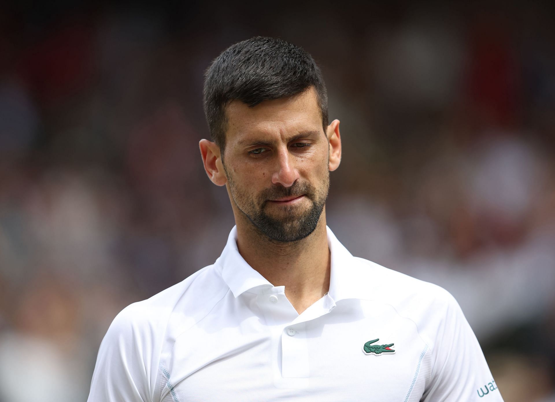 Novak Djokovic (Source: Getty)