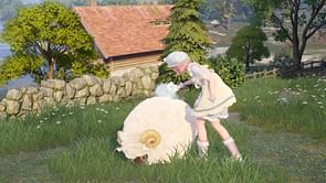How to groom animals in Infinity Nikki