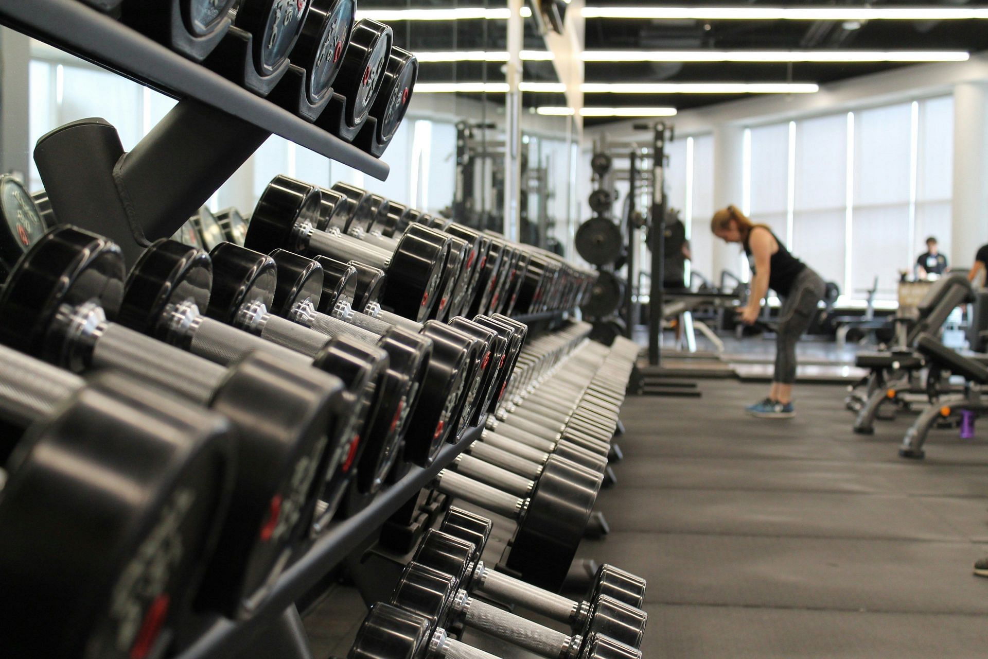 5 key details about the Sun Gym Gang  (Image by Danielle Cerullo/Unsplash)