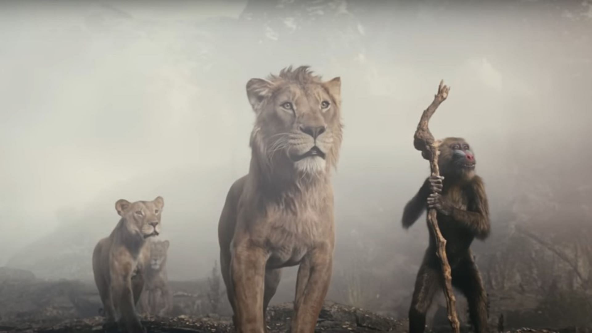 A still from the trailer of Mufasa: The Lion King (image via YouTube/ Disney)