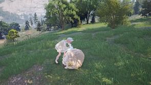 Infinity Nikki: Stop! Florist Sheep quest guide