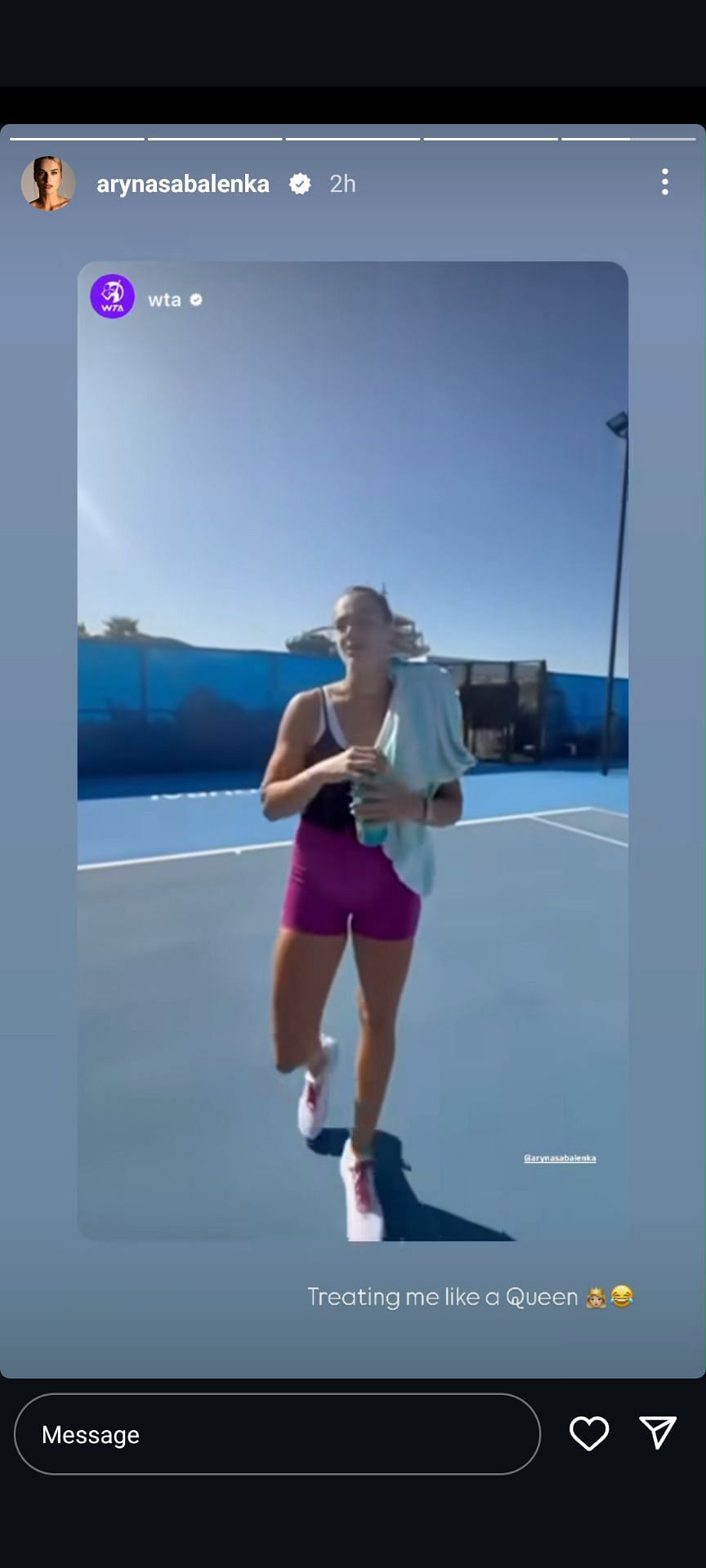 Aryna Sabalenka&#039;s Instagram story; ( Source - Instagram @arynasabalenka))