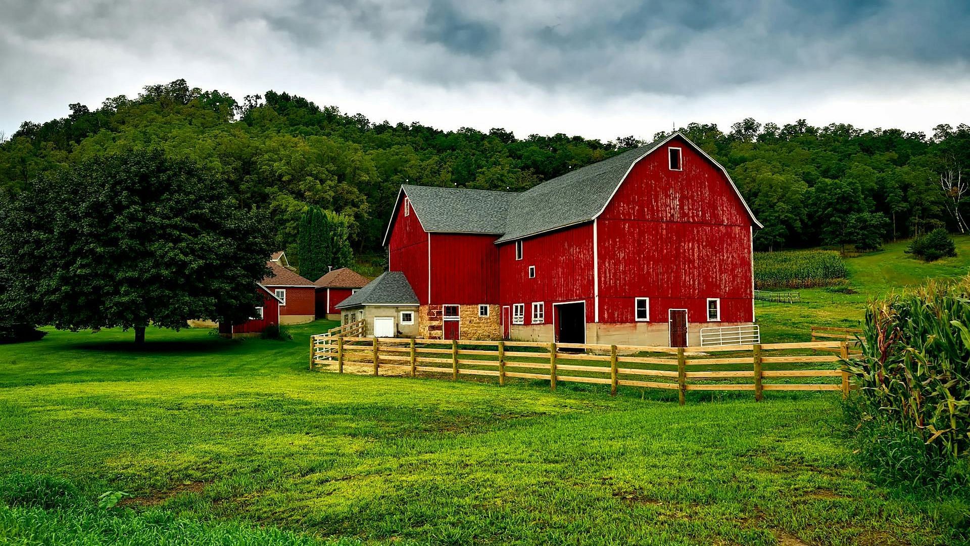 The Janson Family Farm in Blanchester was used for some scenes (Image via Pixabay/Pexels)