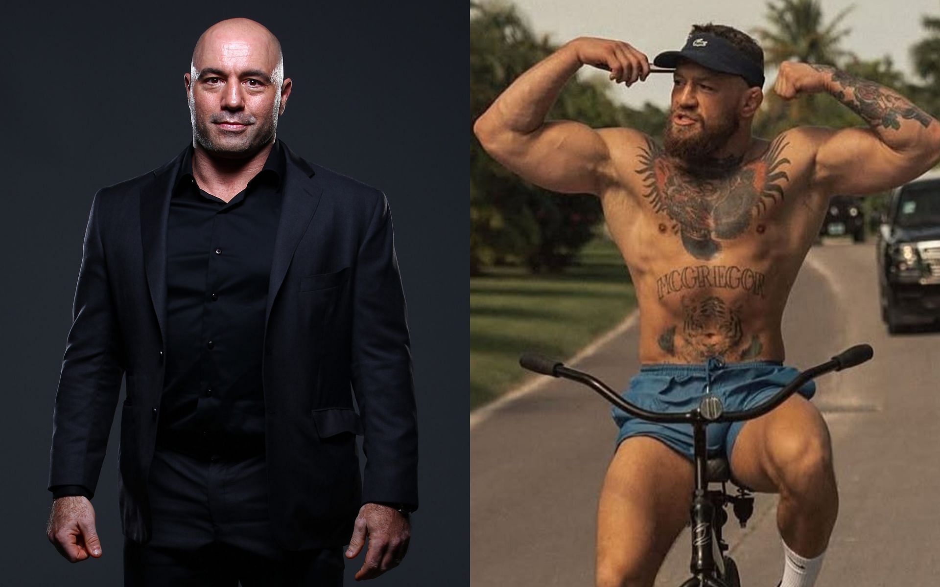 Joe Rogan