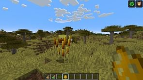 How to hide particles in Minecraft