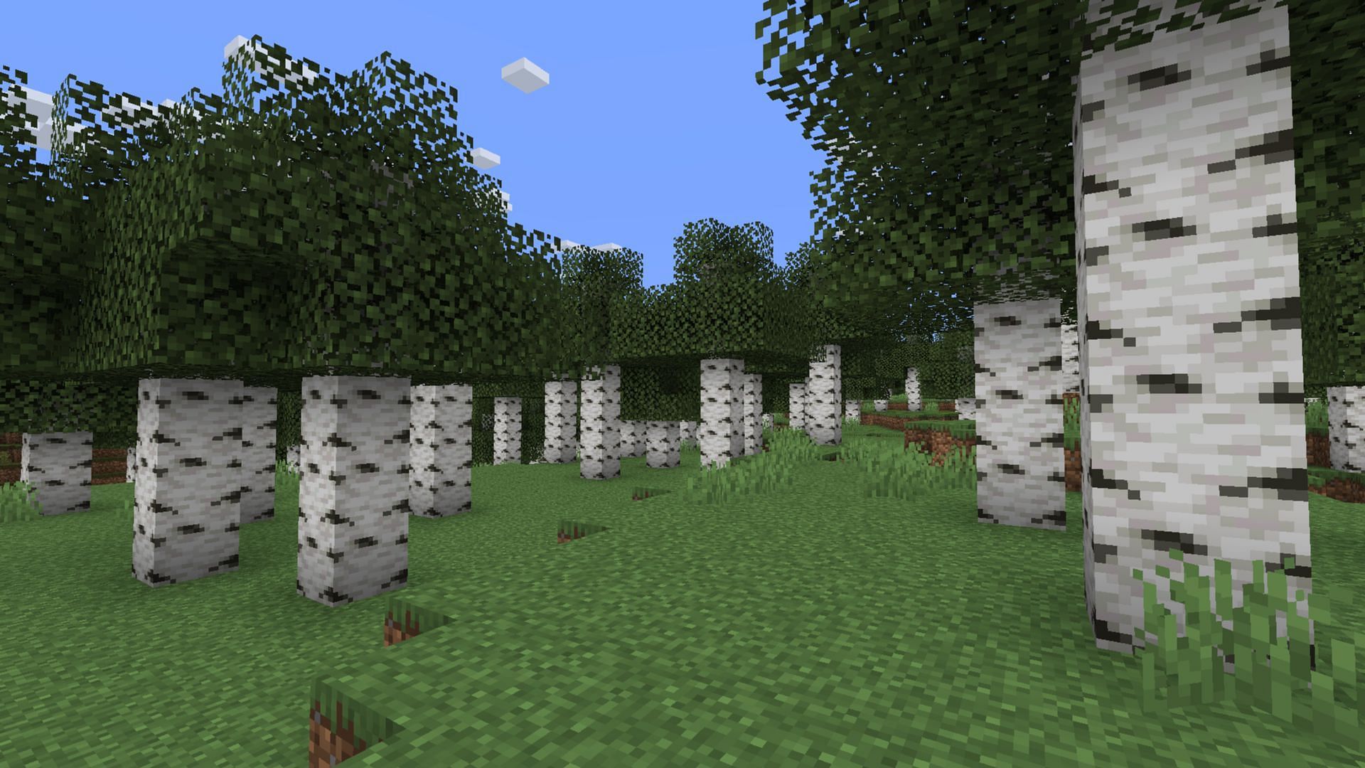 New items in the Birch Forest biome could easily become one of the coolest unimplemented Minecraft features (Image via Mojang Studios)