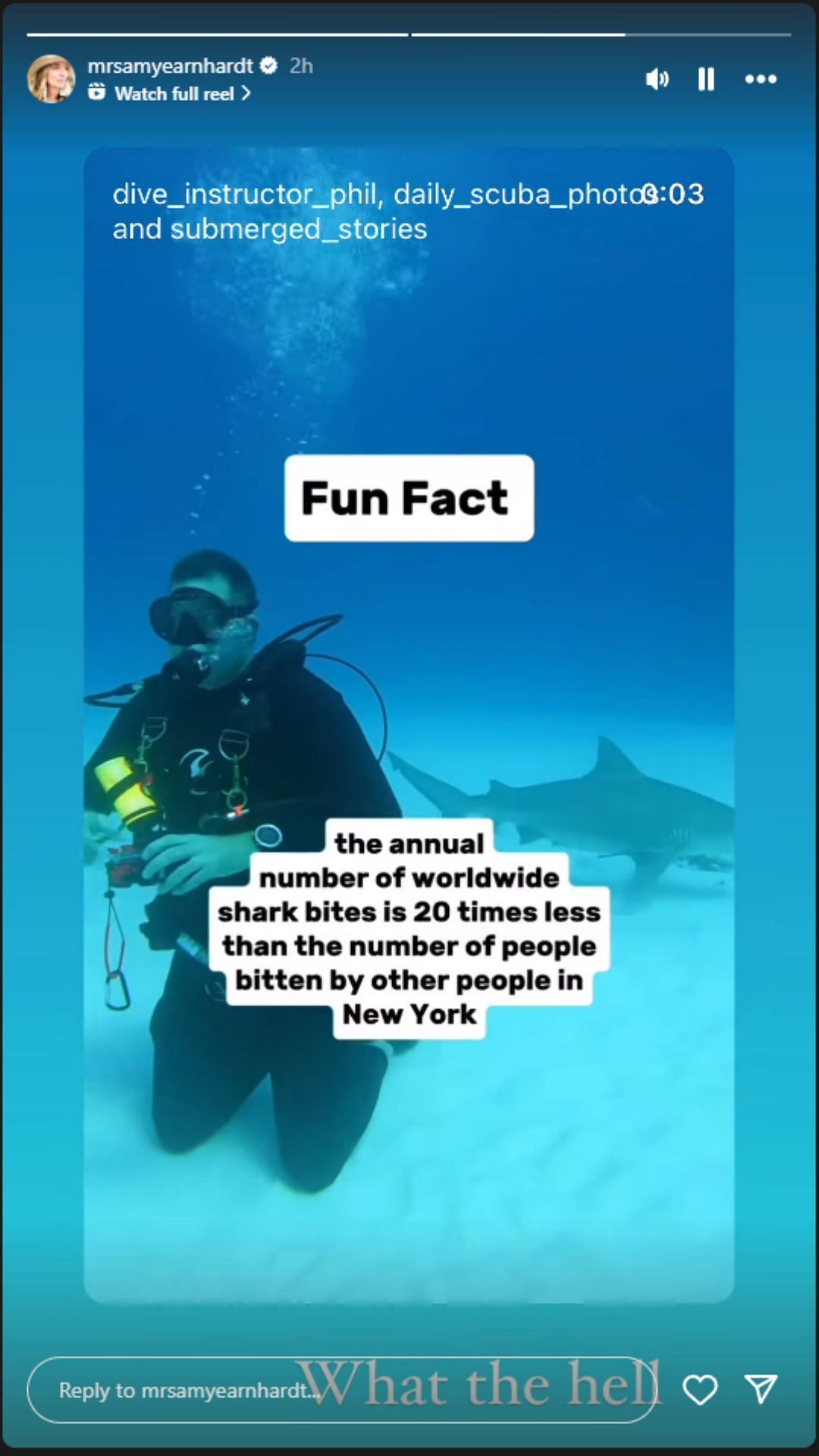 Amy Earnhardt Instagram story - Source: @mrsamyearnhardt via dive_instructor_phil on IG