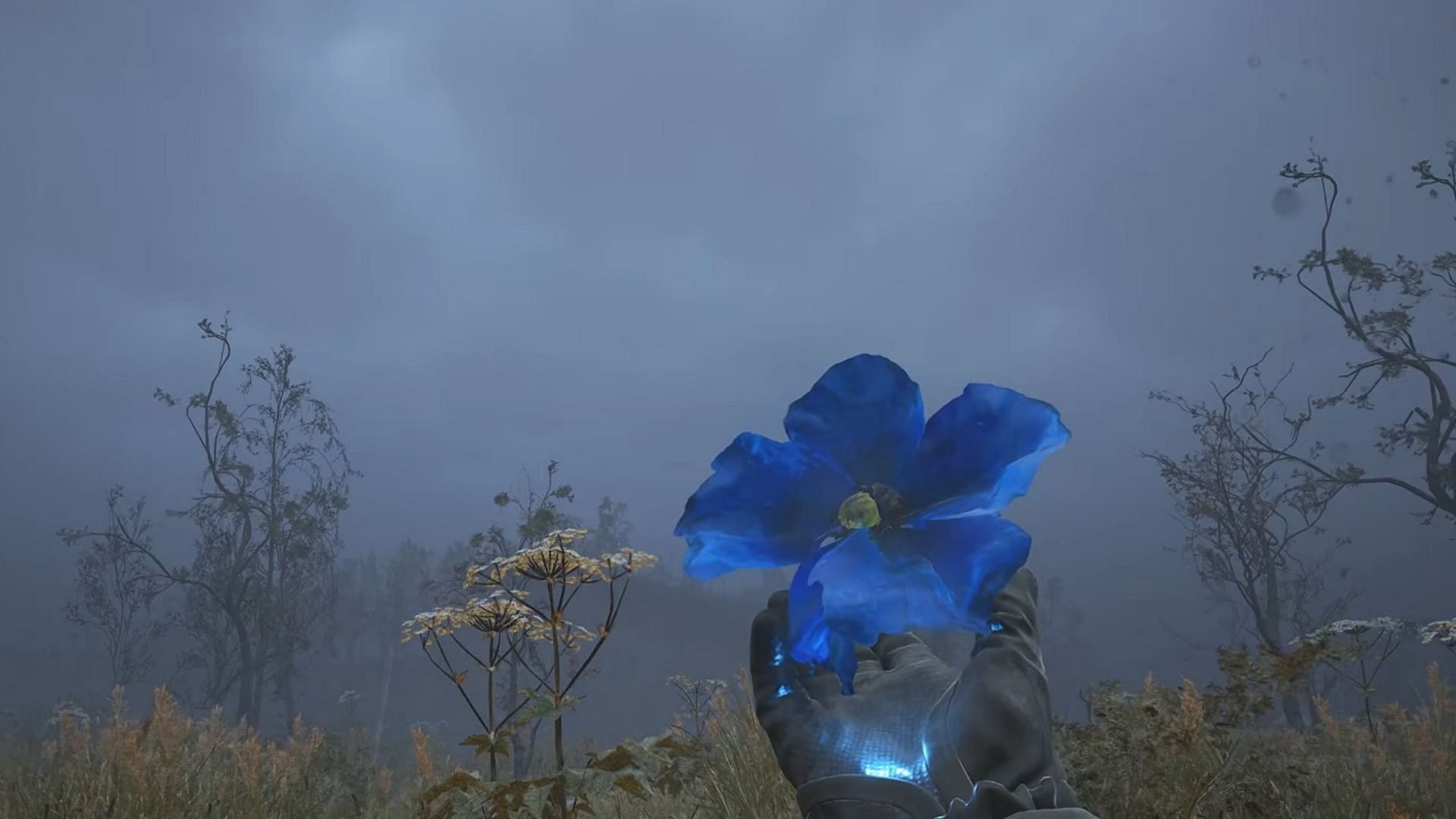 Weird Flower from Stalker 2 (Image via GSC Game World)