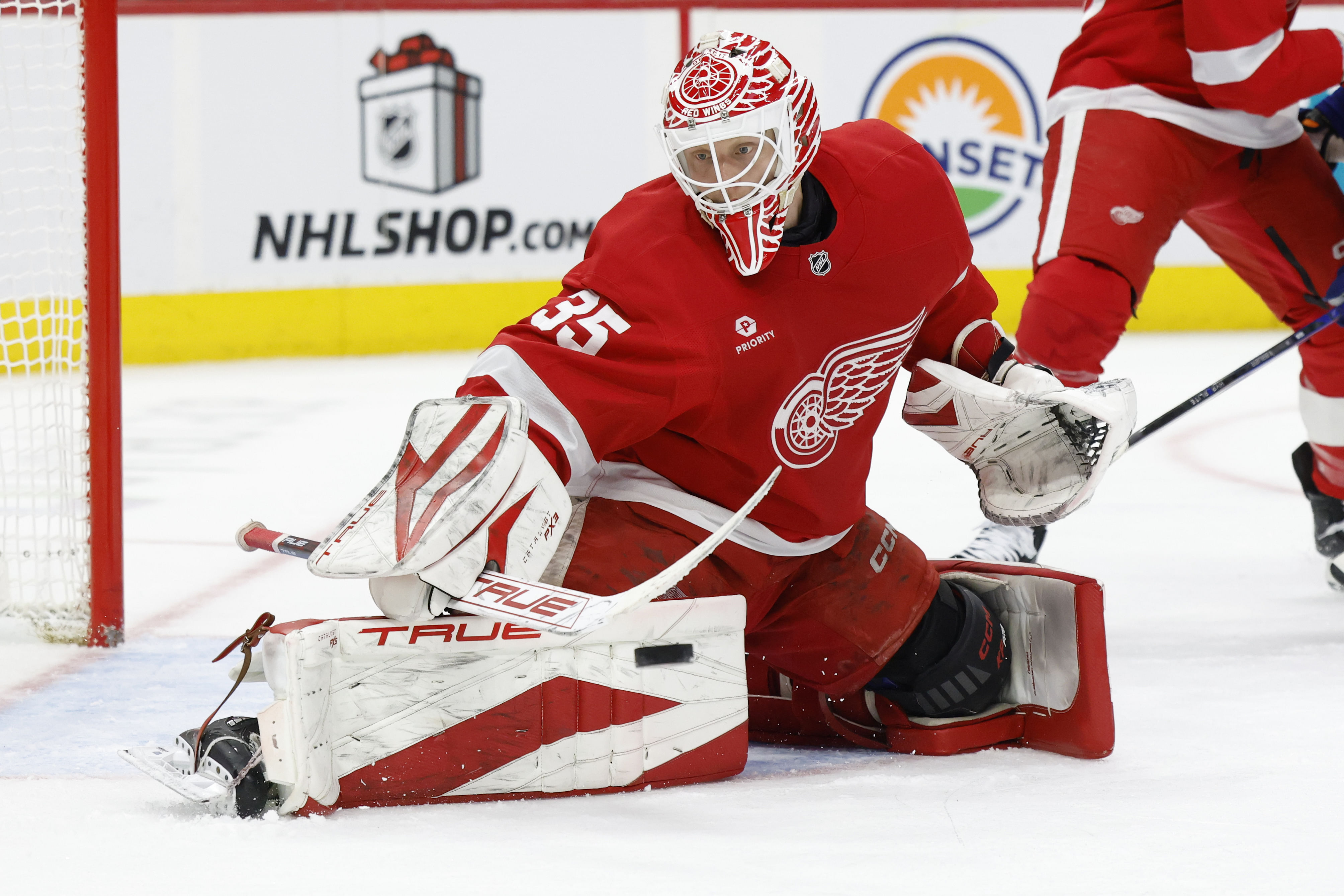 The Detroit Red Wings are underdogs in this matchup (Imagn)