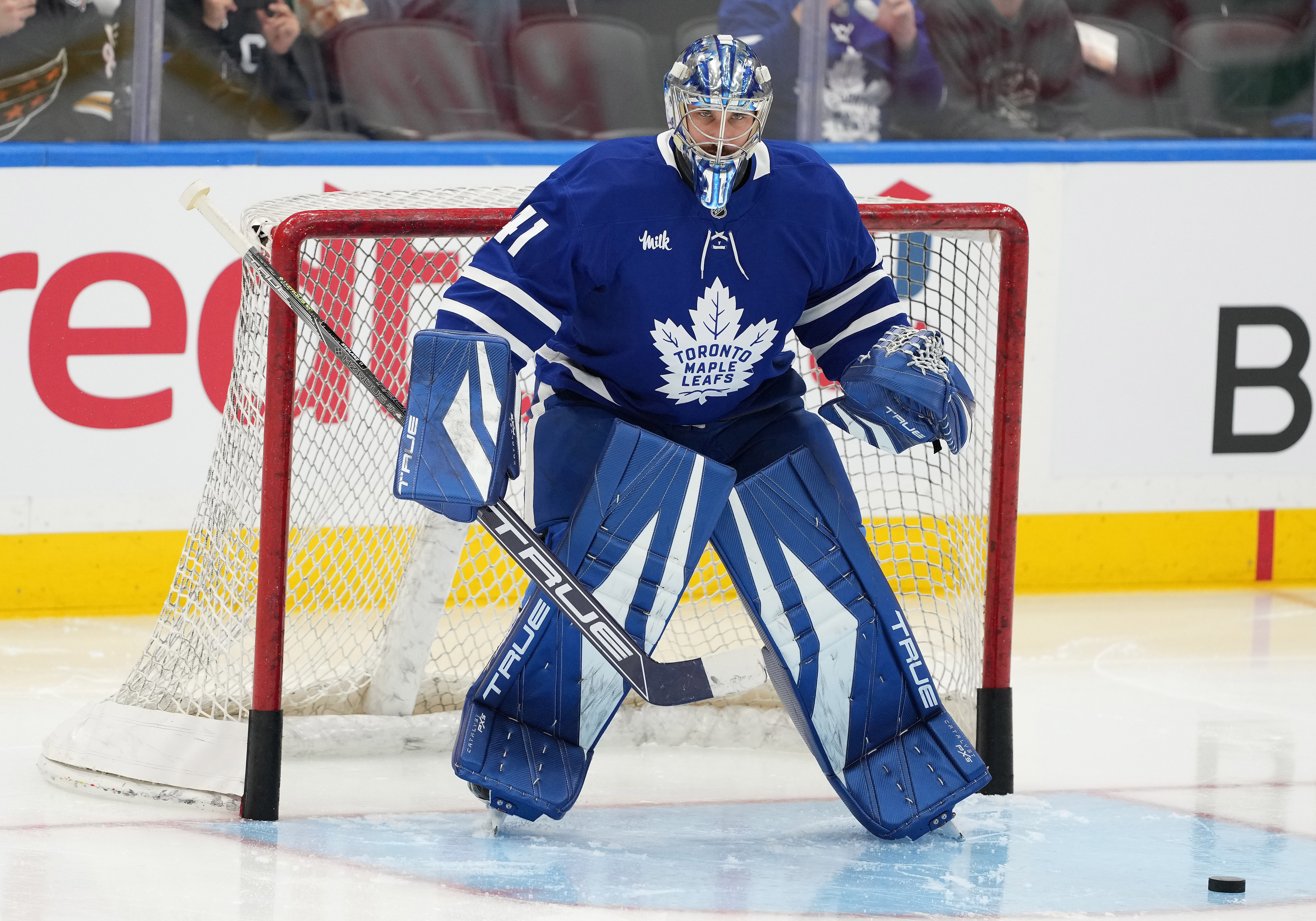 Anthony Stolarz has been in excellent form for the Maple Leafs (Credits: IMAGN)