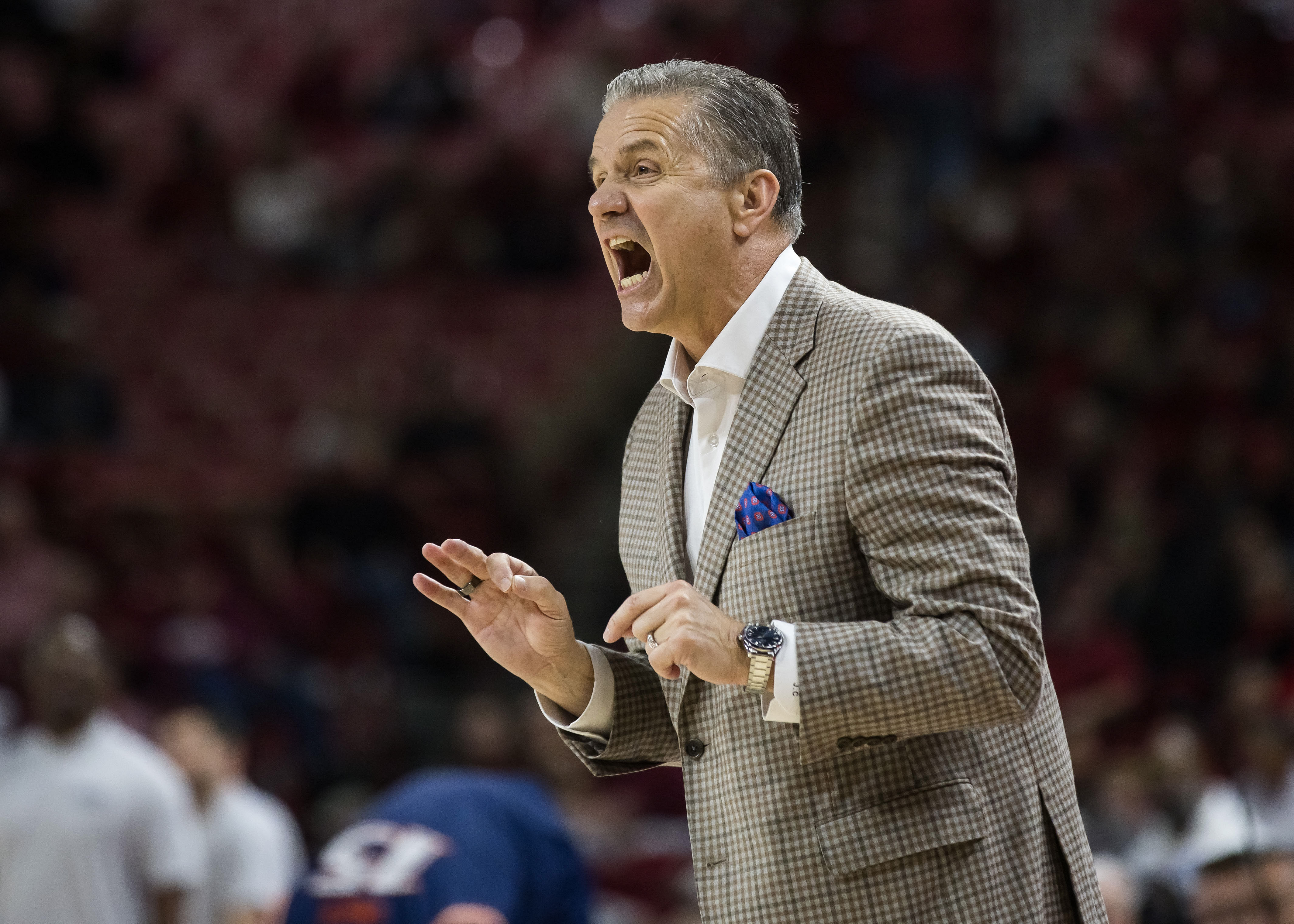 Arkansas Razorbacks head coach John Calipari yells toward his players on the court during their game against the UTSA Roadrunners at Bud Walton Arena. Photo: Imagn